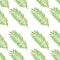 Seamless pattern with green watercolor pencils hand drawn illustration of tropical leaf on white.