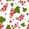 Seamless pattern. Hand draw illustration red berry currant with leaves