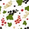 Seamless pattern. Hand draw illustration red black white berry currant with leaves