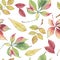 Seamless pattern with hand drawn autumn leaves.