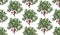 Seamless pattern with hand drawn cocoa trees