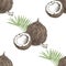 Seamless pattern with hand drawn coconut with half and leaves