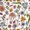 Seamless pattern with hand drawn colored japanese chrysanthemum, blackberry lily, eucalyptus flower, anemone, iris