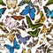 Seamless pattern with hand drawn colored papilio ulysses, morpho menelaus, graphium androcles, morpho rhetenor cacica