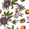 Seamless pattern with hand drawn colored passion flower