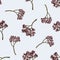 Seamless pattern with hand drawn colored rosemary everlasting