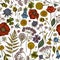 Seamless pattern with hand drawn colored shepherd`s purse, heather, fern, wild garlic, clover, globethistle, gentiana