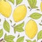 Seamless pattern with hand drawn lemon and leaves. Doodle fruit for package or kitchen design