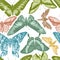 Seamless pattern with hand drawn pastel ornithoptera croesus lydius, ambulyx pryeri, theretra oldenlandiae, urania