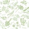 Seamless pattern with hand drawn spicy herbs. Culinary kitchen background with herbs. Perfectly look on kitchen textile, fabric.