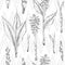 Seamless pattern with hand drawn of Turmeric roots, lives and flowers in black color isolated on white. Retro vintage