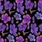 Seamless pattern of hand-drawn watercolor illustrations of Hawaiian hibiscus flowers. Bright tropical flowers on a black