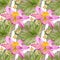 Seamless pattern with hand drawn watercolor of lotus flowers and leaves and dragonflies