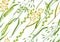 Seamless pattern with herbs and cereal grass. Floral ornament of meadow plants