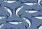 Seamless pattern with herring fish. Pacific sardine.