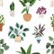 Seamless pattern with home plants growing in pots. Leaf houseplants in planters print. House and office interior