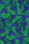 Seamless pattern with hyacinth macaws flying. Hand