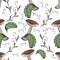 Seamless pattern, illustration. boletus, aspen mushroom.
