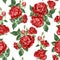 Seamless pattern illustration with rose flowers