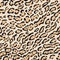 Seamless pattern. Imitation of skin of ocelot,tiger cat. Black and brown spots on beige background.