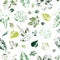 Seamless pattern with imprints of green leaves on a white background.