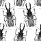 Seamless pattern with insects. Beetles