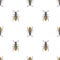 Seamless pattern with insects, symmetrical background with closeup yellow wasps isolated on the white backdrop. Flat vector