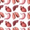 Seamless pattern of internal human organs. Vector illustration of liver, lungs, heart and stomach isolated on white background.