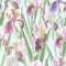 Seamless pattern of iris flowers