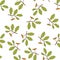 Seamless pattern with Irish Oak Quercus petraea medicinal plant on white background