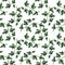 seamless pattern with ivy plant