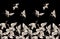 Seamless pattern with Japanese white cranes in different poses for your design embroidery, textiles, printing