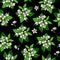Seamless pattern with jasmine flowers painted in gouache on a black background.