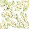 Seamless pattern with Jasmine. Hand draw watercolor illustration