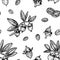 Seamless pattern with jojoba. Vintage vector sketch