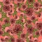 Seamless pattern with juliet garden rose flowers, nature floral background