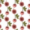 Seamless pattern with juliet garden rose flowers, nature floral background