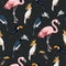 Seamless pattern with junngle bird such as flamingo, parrot, toucan. Vector.
