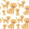 Seamless pattern Kawaii funny golden beige dog, face with large eyes and pink cheeks, boy and girl isolated on white background.