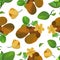 Seamless pattern kiwi and flower