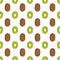 Seamless pattern with Kiwi slice. Vector fruit. Organic, eco. Drawn by hands. Printing on fabric, wallpaper, textiles