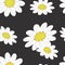 Seamless pattern with large floral daisies on a dark gray background. For printing on fabrics, textiles, paper, interior design.
