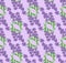 Seamless pattern of lavender flowers