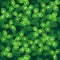 seamless pattern leaves of clover