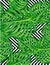 Seamless pattern of leaves monstera