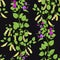 Seamless pattern with legume crops