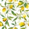 Seamless Pattern. Lemon Fruits Background. Floral Pattern