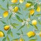 Seamless Pattern. Lemon Fruits Background. Floral Pattern