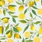 Seamless Pattern. Lemon Fruits Background. Floral Pattern