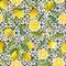 Seamless Pattern. Lemon Fruits Background. Floral Pattern